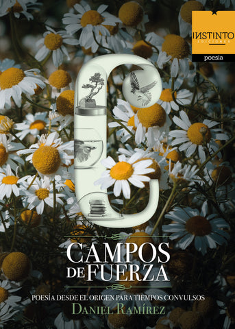 Campos de Fuerza