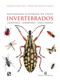Invertebrados Naturaleza Ilustrada de Chile