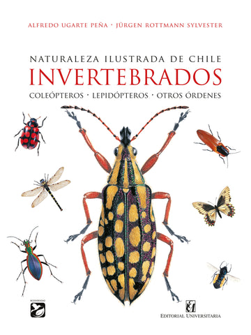 Invertebrados Naturaleza Ilustrada de Chile