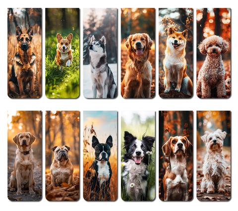 Marcadores de Páginas