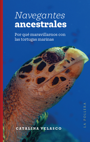 Navegantes Ancestrales