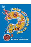 Sabías Qué Cuerpo Humano