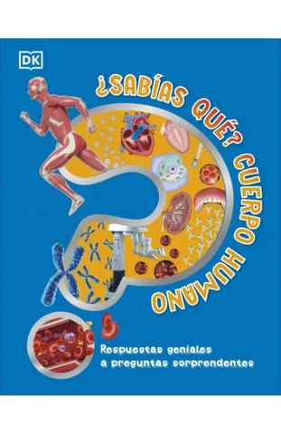 Sabías Qué Cuerpo Humano