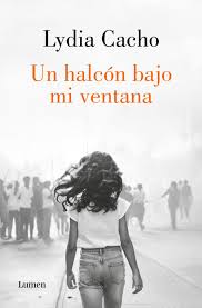 Un Halcón Bajo mi Ventana
