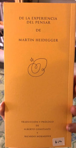De la Experiencia del Pensar