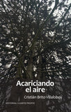Acariciando el Aire