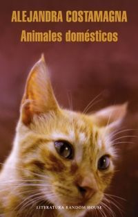 Animales Domésticos