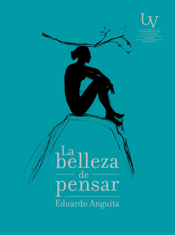 La Belleza de Pensar