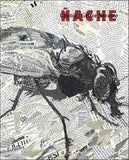 Ñache