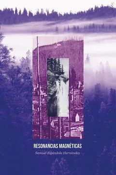 Resonancias Magnéticas