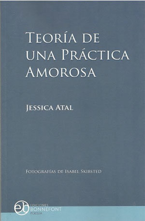 Teoría de una Práctica Amorosa